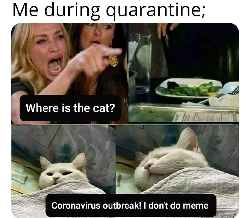 Melie80638725's tweet image. The coronavirus though
like who comes up with these memes
it is too funny