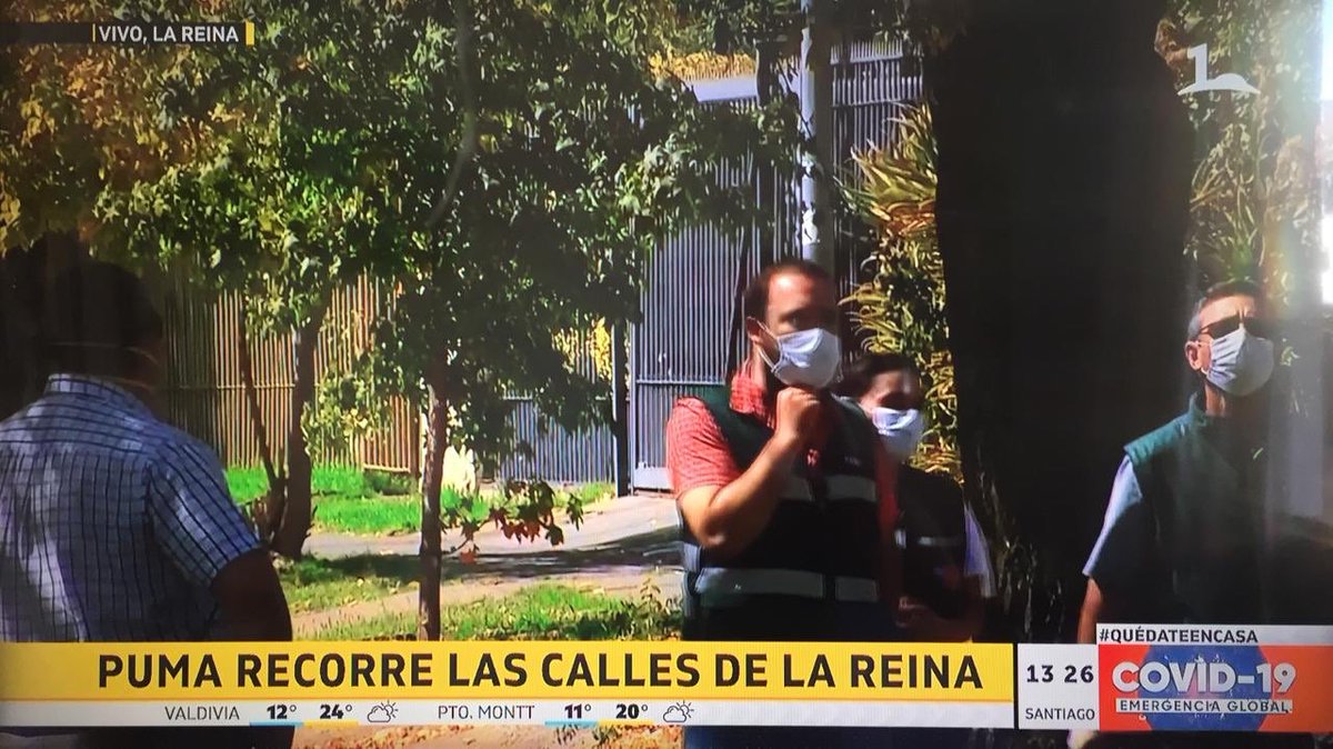 Para que vean ni el puma aguanta a su señora en cuarentena que ya se han escapado 2