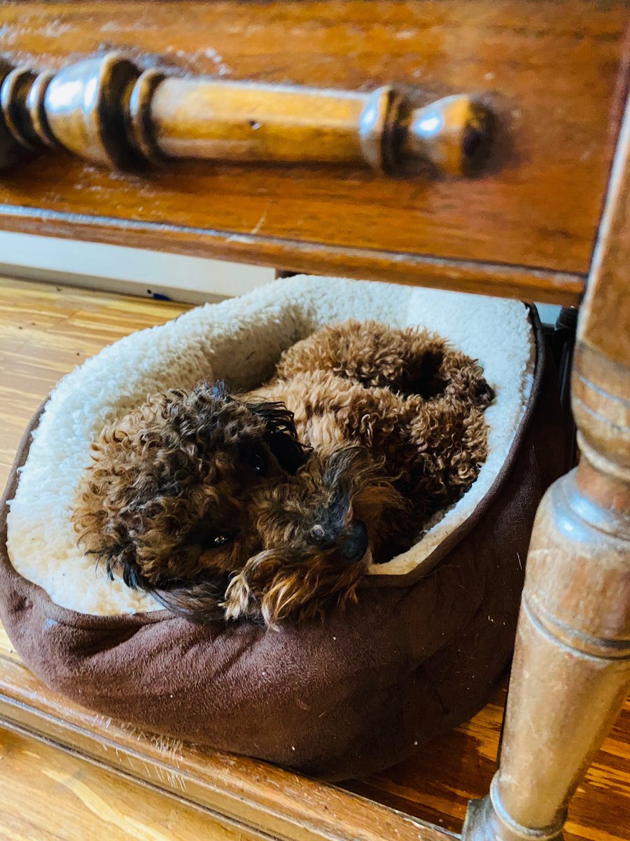 CaHill Resources, LLC tweet media