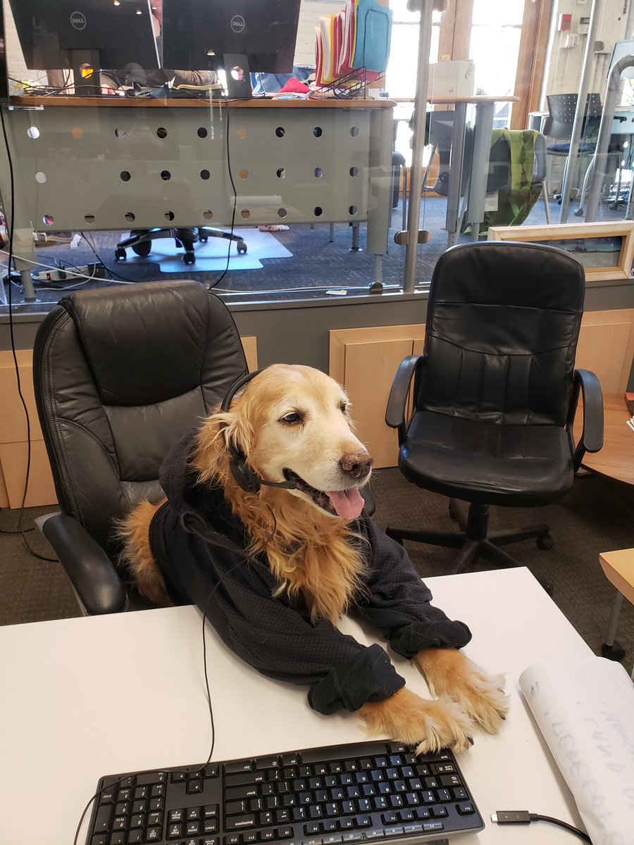 As most of our staff across all offices are working from home, I decided company was needed in the winnipeg office. Our new hire is a certified good boy + will be our new Pawject Coordinator for the foreseeable future. His passions include dog parks + K9-friendly street design.