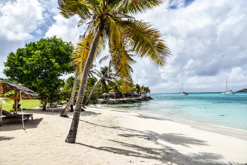 Afternoon strolls along the beach <a href="/petitstvincent/">Petit St. Vincent</a> are the best way to clear the mind
.
.
.
#petitstvincent #luxuryholiday #privateisland #Caribbean #simplicity #digitaldetox #naturalbeauty #wellness #relaxation #oceanviews #deepblue #happyplace #ocean #nature #destination