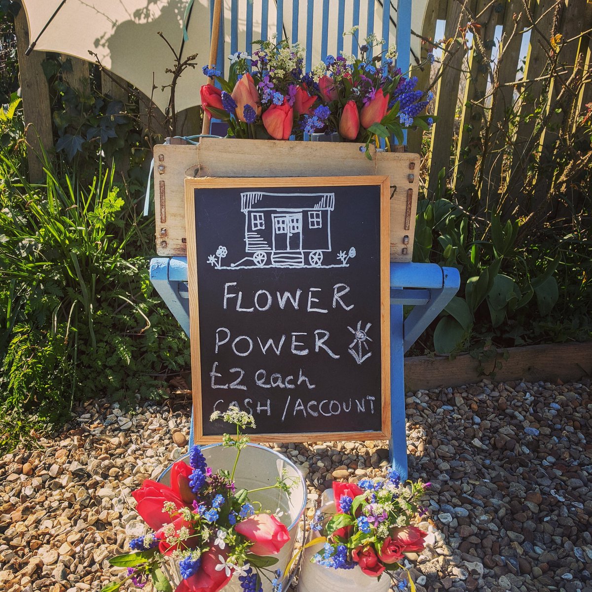 A little bit of #businessdiversification whilst the Hut is off limits. All field grown here and freshly picked this morning. Have sold out today but will have more out tomorrow morning if you're local and passing.
#flowerpower #flowerfarmer #seasonalflowers #SocialDistancing