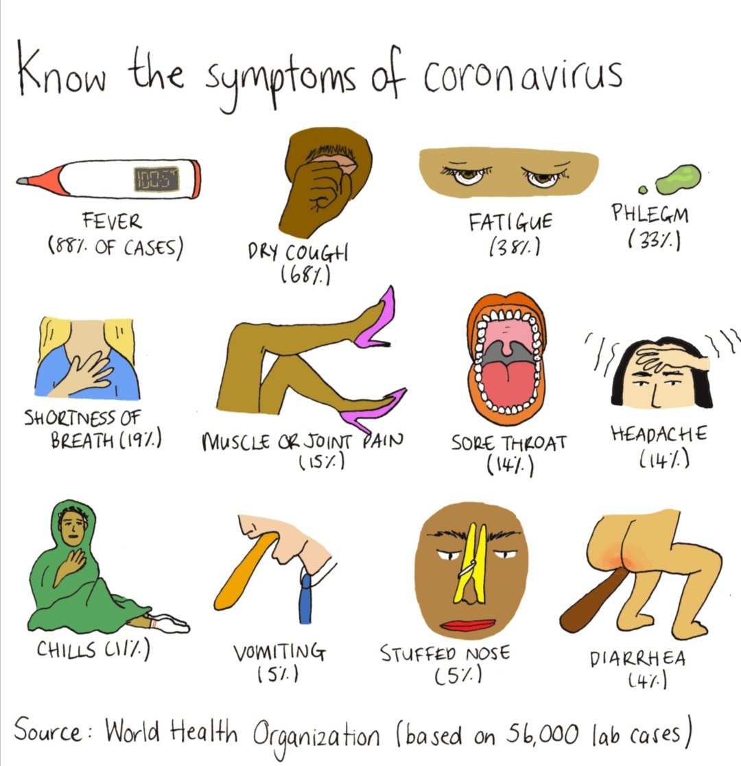 Michel van Ruijven (@ruijvenpaprika) on Twitter photo 