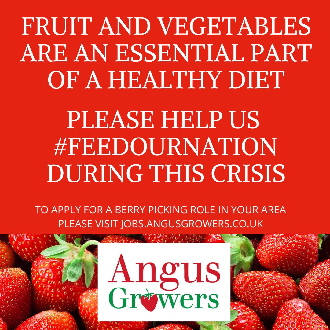 Our farms are strictly following government &amp; NHS guidance to maintain the H&amp;S of our workers. Strict frequent hand washing, social distancing and in accommodation areas, routine checks for symptoms &amp; self-isolating facilities &amp; support for any worker who contracts the illness.