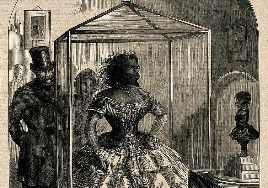 Raíces y filamentos dlvr.it/RSY0Hm