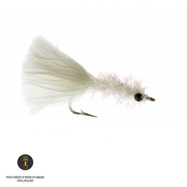 TroutUnlimited's tweet photo. The TU-@loonoutdoors #SpringFlyShowdown continues today with a battle between the #Schminnow and the funky #PurpleHaze. Vote and win some great fly-tying tools from Loon! https://t.co/p3MkK9wQyW #ViseSquad #BestFlyEver https://t.co/XPUKG3xTiJ