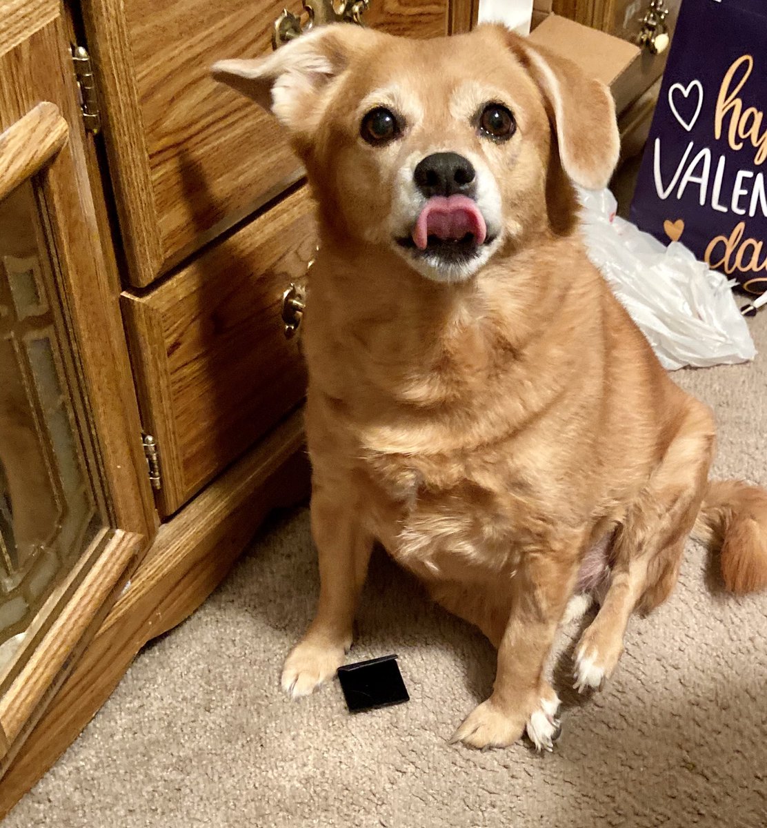 Bella is such a cutie