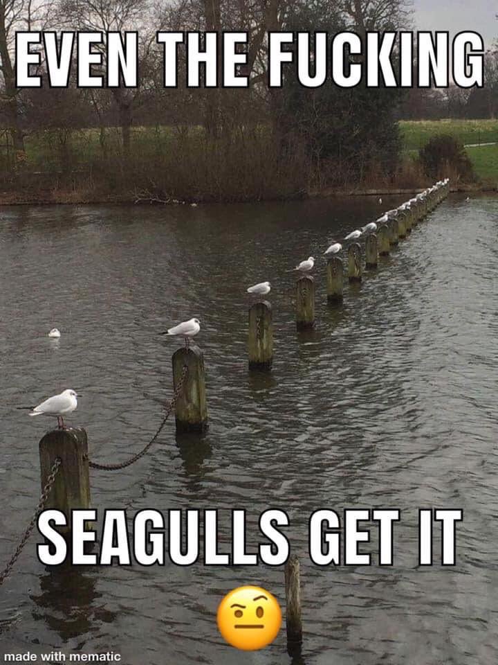 keellelectrical's tweet image. #offthetools