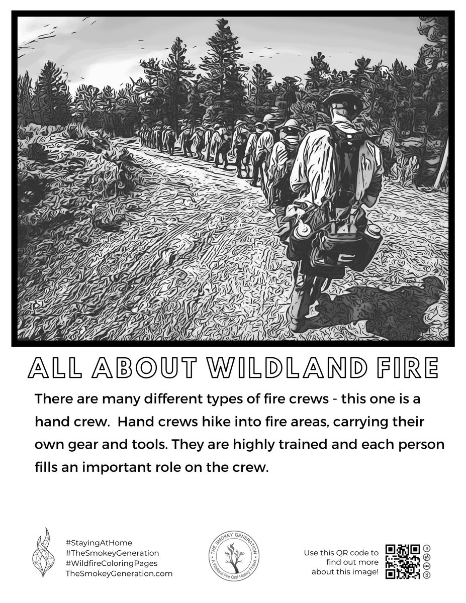 TheSmokeyGeneration tweet media