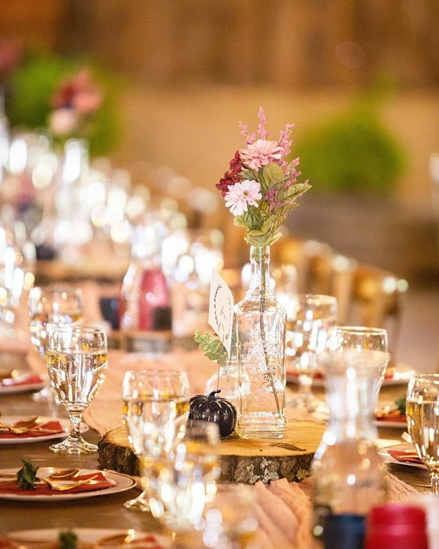 SilverOaksBarn's tweet photo. The beauty of simplicity...
Photo by @sarahjanephotog .
.
.
#thelittledetails #simplebeauty #wildflowers #thebarnatsilveroaks #sweetmoments #weddingdetails #weddingdecor  #florallove #capturingcolour https://t.co/HyYjR5n1GW https://t.co/xrkYnbomOE