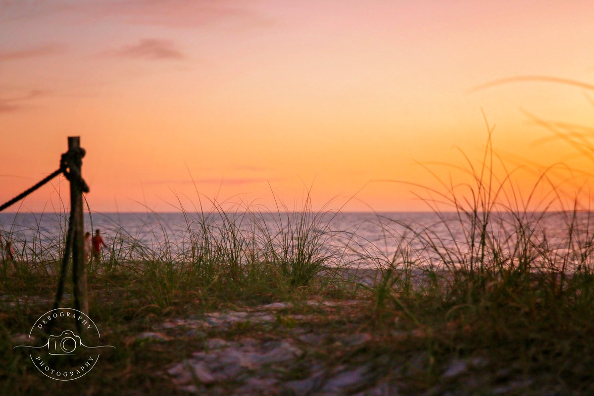 Debography's tweet image. Something to make you smile from before the quarantine.
#Debography