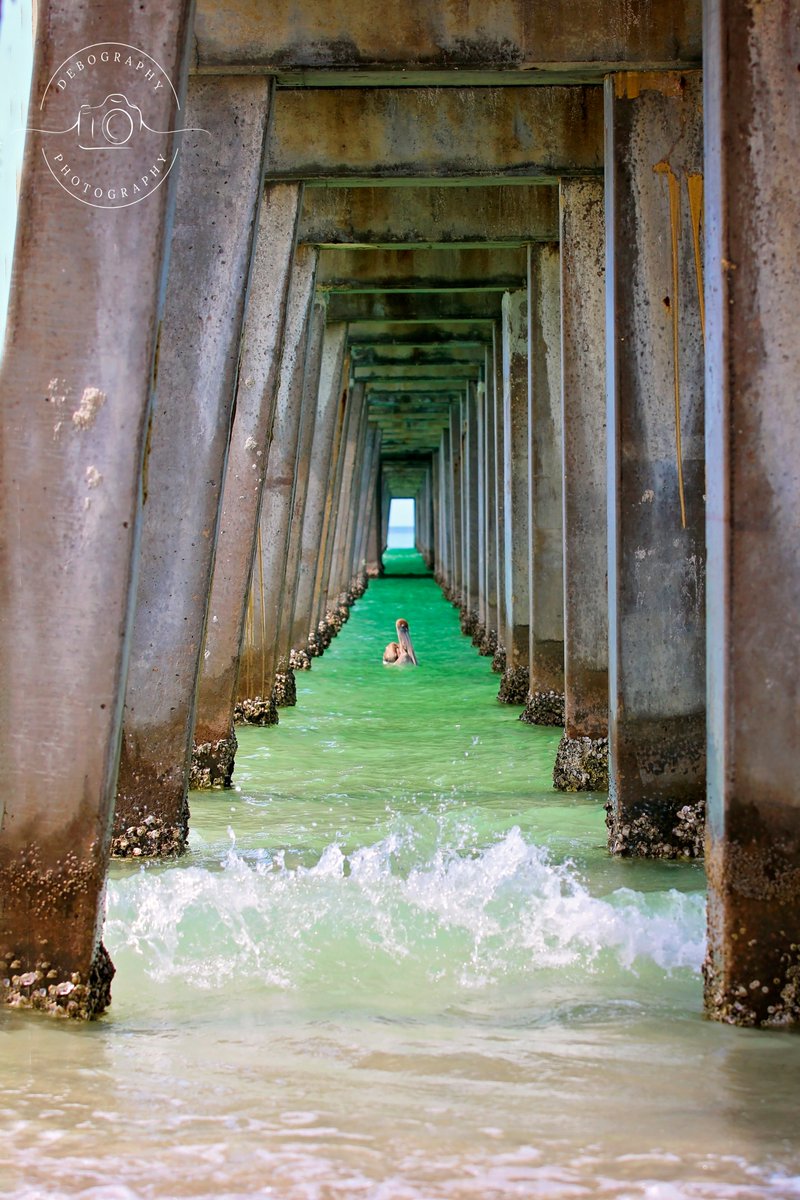 Debography's tweet image. Something to make you smile from before the quarantine.
#Debography