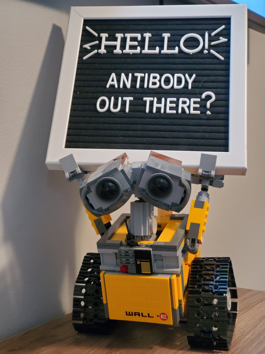 MrStockingBMS's tweet photo. My assistant and I are ready to answer science questions!  Epsilon students in need should log into the Zoom meeting room (on GC) for help! https://t.co/uZ1UrjirJl