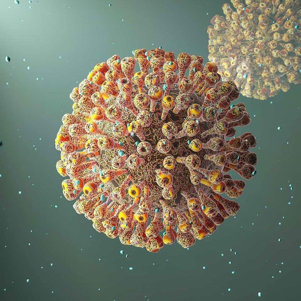 EsMundoMisterio's tweet photo. Una recreación del virión SARS-Cov-2, responsable de la actual pandemia COVID-19. https://t.co/jUiAULjDgN