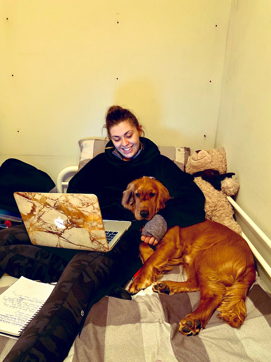 m_richardson1's tweet photo. When I’m at home I like to work in the spare room. It’s not ideal as no desk but it’s where I focus most without distraction. Well where I did... until trouble located me! ❤️ https://t.co/tsmTsmLmuj