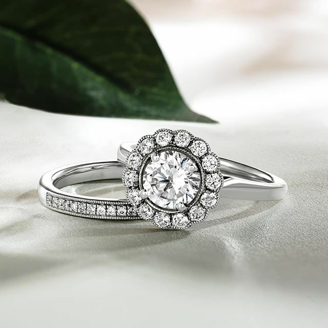 Live life in full bloom! ift.tt/33IEINW