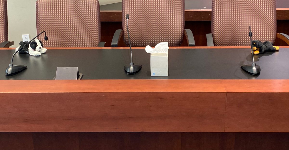 Today we've been sharing the dogs of the TPB. No discussion dog list would be complete without our TIP mascots, Tip &amp; Stippy. Here they are practicing social distancing during the March #TPBmtg Thanks to <a href="/KellyMRussell/">Kelly Russell</a> for the puppies. mwcog.org/newsroom/2020/…