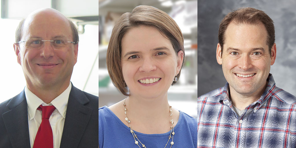 UWMadEngr's tweet photo. Paul Campagnola, Pamela Kreeger and @KipLudwig, three outstanding @UWMadison_BME faculty members, are part of @aimbe's Class of 2020 Fellows.

https://t.co/ItpxrwbRKH https://t.co/3AuNt0xhQF