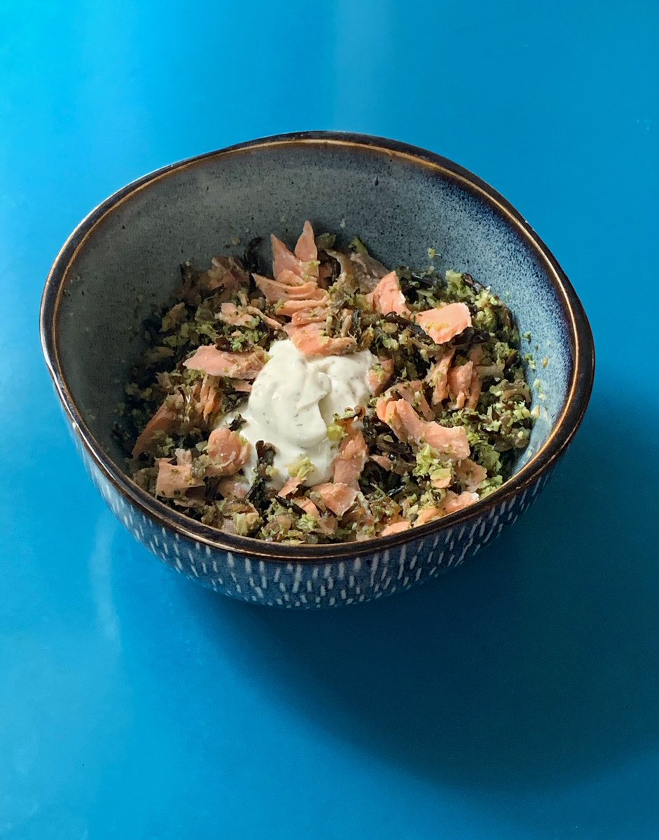 checking in with another hit from my go-to food category of “stuff in a bowl and also a yogurt sauce” salmon (salt+pepper +lemon), riced broccoli, wild rice,  @PenzeysSpices green goddess mixed into yogurt  #humblebragdiet