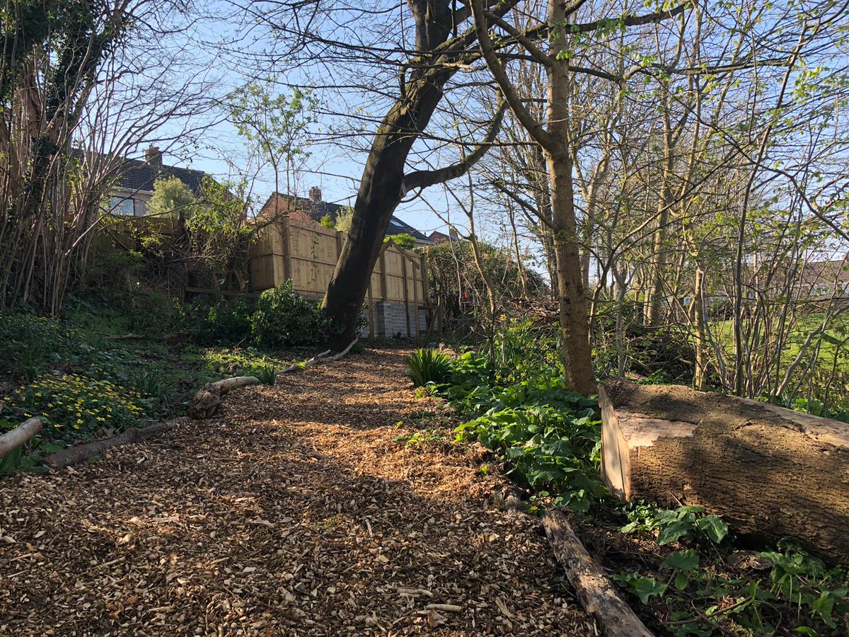 The children at school have been taking breaks from their school work and renovating the school grounds! Doesn't it look great? #wearecrockerne #socialsolidarity #bettertogether #renovating #teamwork