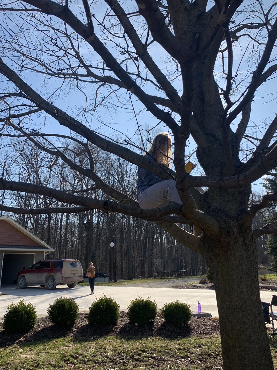 kylie_caverly's tweet photo. Reading in a tree 📖  #TeamNOSLAK #hpshomespirit2020 https://t.co/DyUPFuCAjC