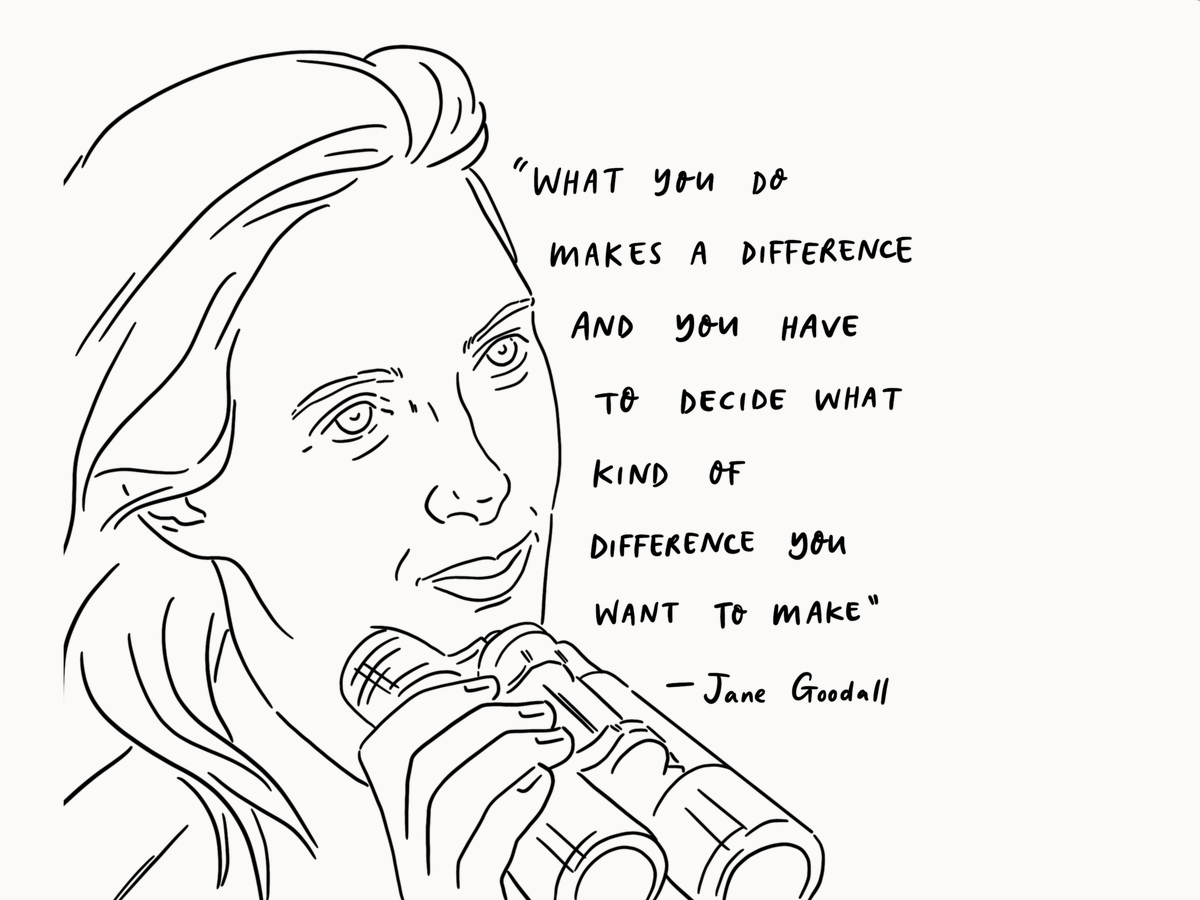 DebraMares_'s tweet photo. Humbled to do what I do, grateful for my ability to do it. @JaneGoodallInst  📸Cred: https://t.co/Gp9Kw9c2EH

#thewriteofyourlife #womenwonderwriters #stopthecycleofabuse #stopthecycleofvictimization https://t.co/7mQ3qK6HZP