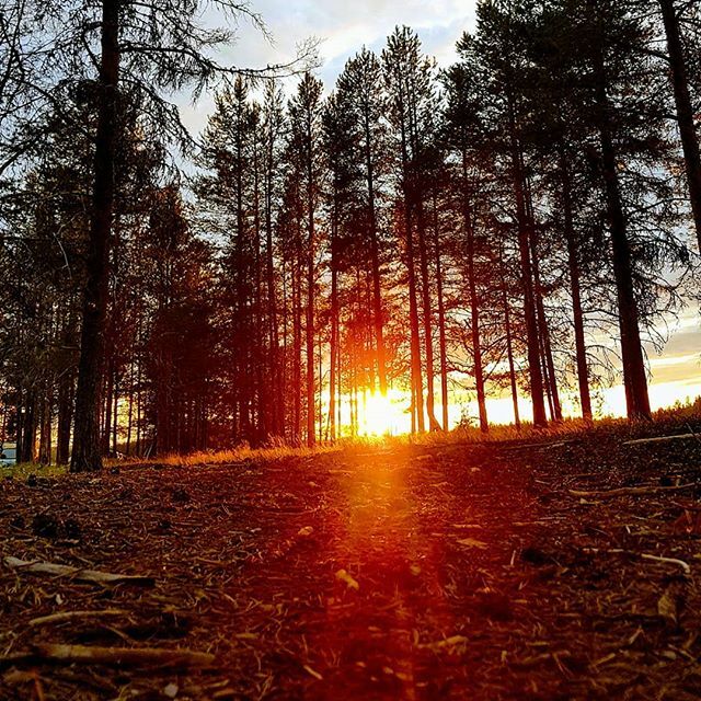 villevanska's tweet photo. Kaikesta huolimatta, ei kauaakaan #kesään 
#afterthesunset #sunset #forest #eveningsun #outdoor #outdoorfinland #relaxingluxury https://t.co/pznfgJGooC https://t.co/9A5H27wCys