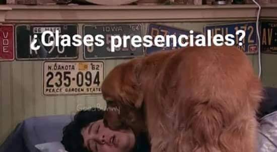 LFelipeIV's tweet photo. Podrá ser un meme, pero es lo que más extraño en estos momentos https://t.co/PTirSnUs4q