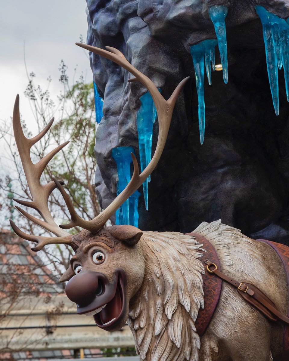 Did you say carrots!? 🥕 Because reindeer are better than people. 📸:  @mousymagic <a href="/Disneyland/">Disneyland Resort</a>Today @DisneylandAP @Disneyland