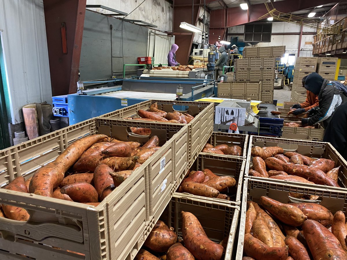 StreefProduce's tweet photo. One of our biggest priorities is ensuring Canadian families always have access to safe, quality food, especially now in a time of need. As said by @erniehardeman, the food supply system here is strong! Have confidence in the supply chain. We will not let you go hungry! #ontag https://t.co/So2V1GpMd1