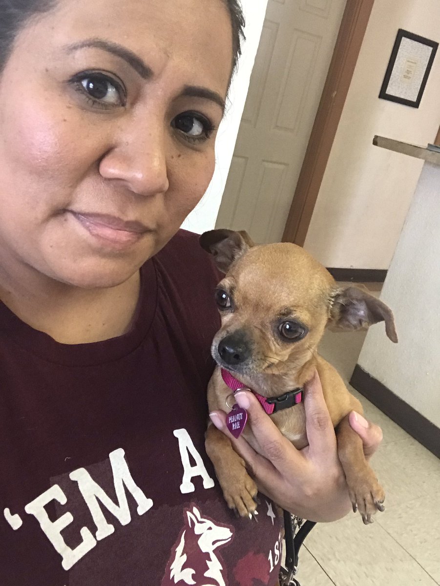raeolivarri's tweet photo. Peanut is getting her nails trimmed, but Iโm still sporting my Texas A&M shirt for... #EDubVirtualSpiritWeek https://t.co/6Bkxa0EsUg