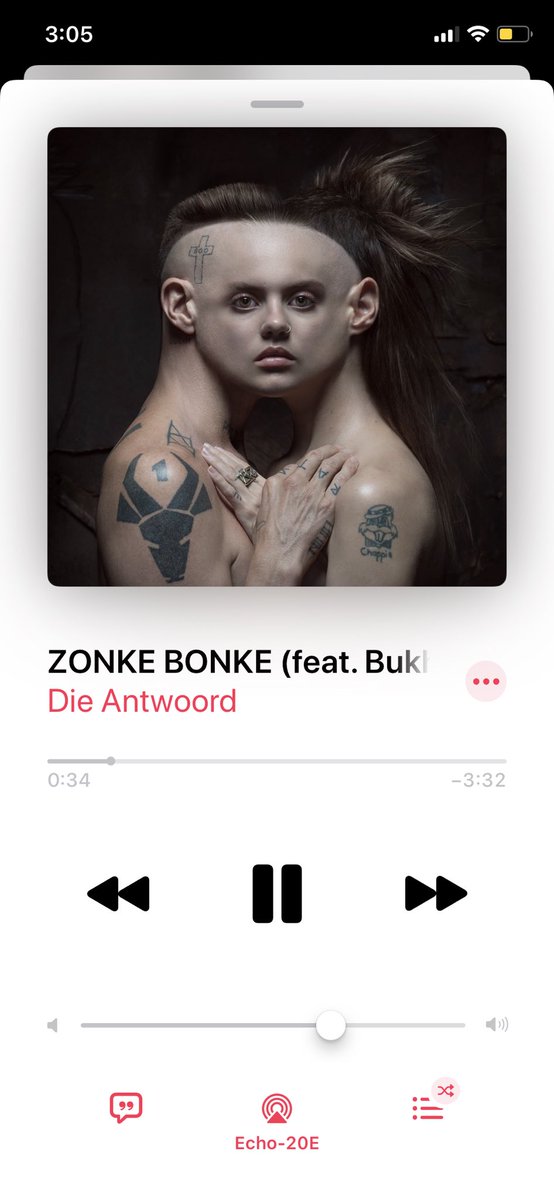 cdaniellefarr's tweet photo. At least we have new Die Antwoord to get us through these times https://t.co/Db4oTMySUB