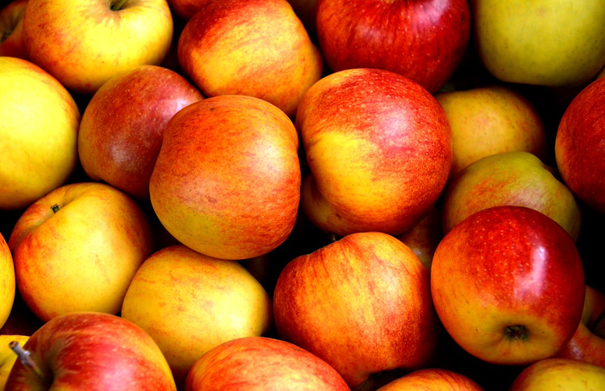 A group formed last year to mark the 50th anniversary of the 1969 White House Conference on Food, Nutrition, and Health issued a report Tuesday with 60 recommendations for a healthier, more equitable, more sustainable food system: politi.co/2JewbZx <a href="/healthyactiveAR/">Healthy Active AR</a>