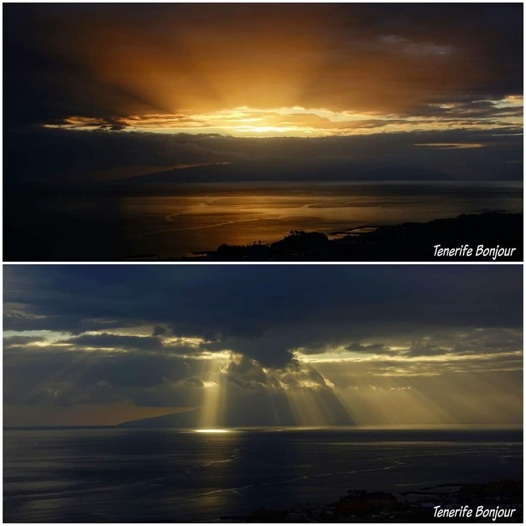 TenerifeBonjour tweet media