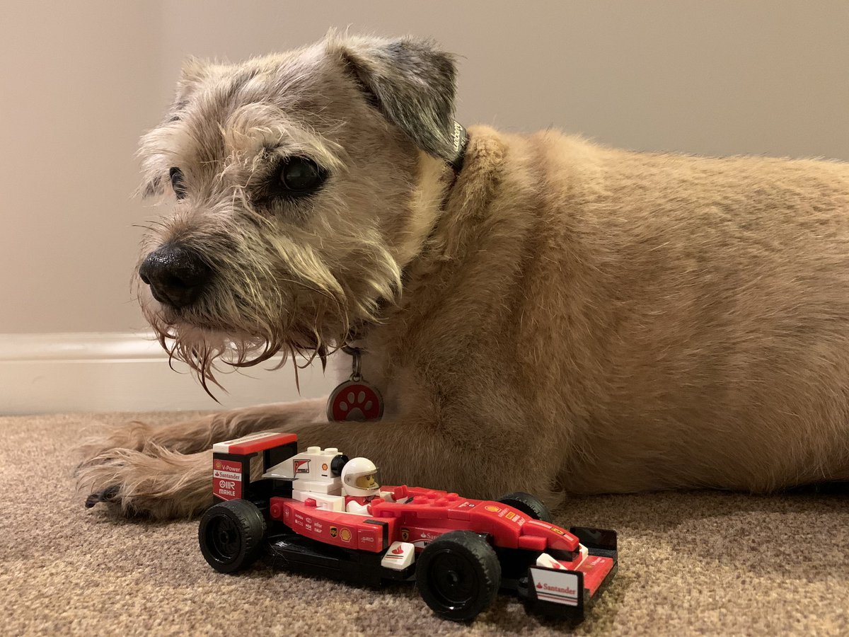 lynniehamish's tweet photo. Parc Herme 😬 #BTF1 https://t.co/L83A5ebMYp