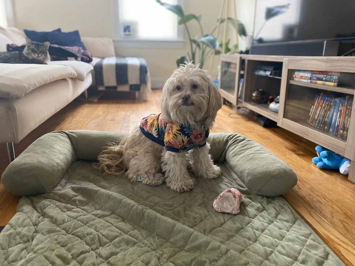 Did I mention it’s his birthday?