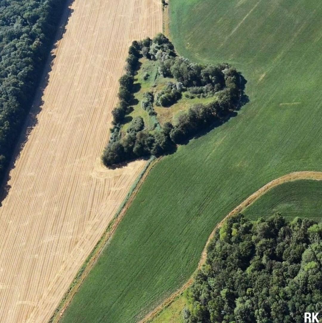 VisitDijon's tweet photo. Découvrez les belles initiatives des professionnels du tourisme en Côte-d'Or ! @CotedorTourisme 👉 https://t.co/KvkPoAP0Em #covid19 #solidarité #tourisme 📷  @RozennKrebel https://t.co/NHCTWjtIgm