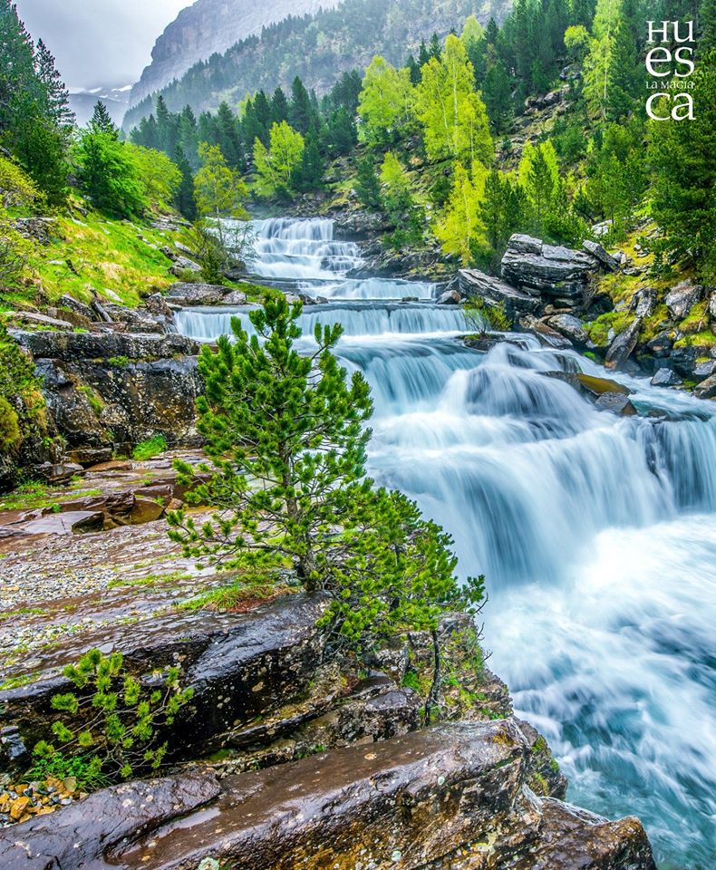 Si hay un lugar mágico en #primavera 🌸 que te haga sentir que somos mucho más..., ese es el Valle de Ordesa 🌲🌷💦 #gradasdesoaso ¡Comparte la magia!

#Yomequedoencasa