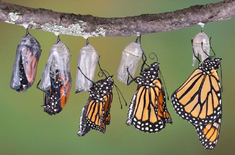 Etape 1    #confinement