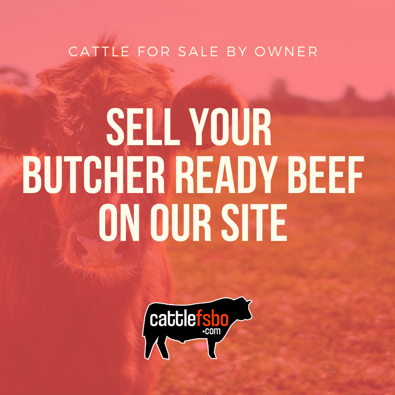 Did you know we have a category for butcher ready beef? #BuyLocal #SellLocal #CattleFSBO