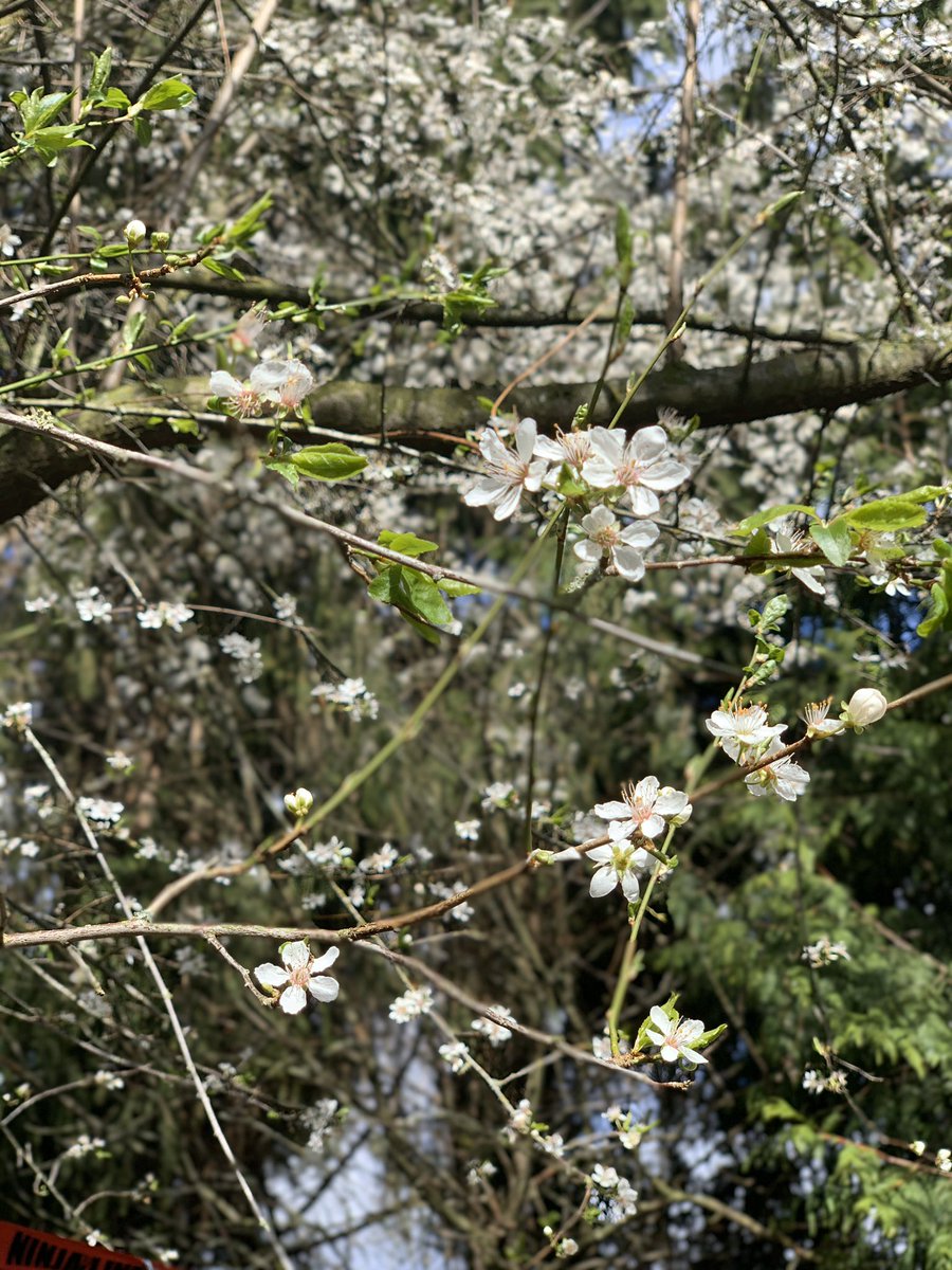 Life in pictures-no words. Day 1/5.  I was nominated by <a href="/MJSandham/">Megan Sandham</a>.