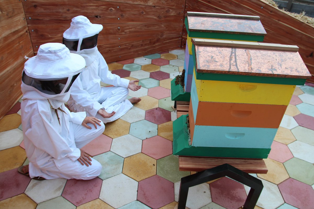 BigCar Collaborative tweet media