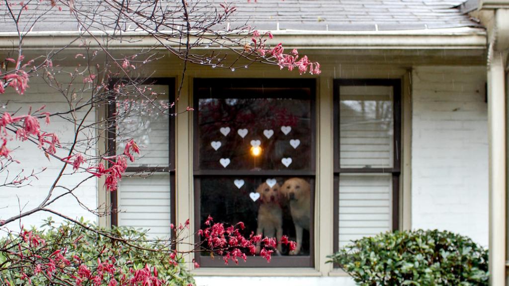 Our hotels have lit up their windows with love to express solidarity for those impacted by COVID-19. Let’s join them. Use whatever you have at home to create your own window 💛, tag #LightsofLove and #IHG, and we will help share your message with the world 💛.