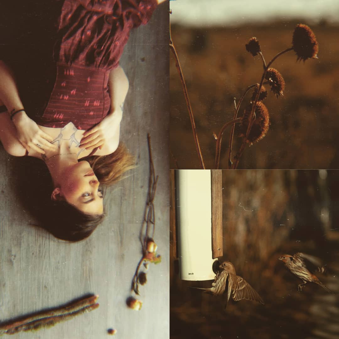 We welcome Lindsey back to deliver her most compelling 10@10 yet, Top 10 Movies to Survive the Pandemic. Be prepared to discover some thought provoking, slightly disturbing, and slightly heart warming films!

 Join us tomorrow at 10AM via Zoom!: zoom.us/j/727200767