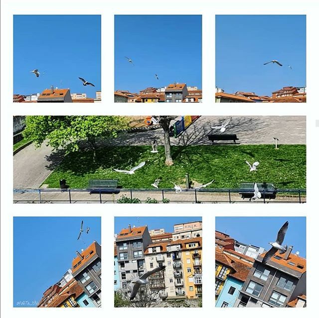 Seguimos con nuestros momentos #CantabriaDesdeMiVentana y vemos que @marta_dbg se ha quedado en casa y nos trae estas preciosas vistas 😍
.
.
Lunes de inicio de semana que esperemos que os haya pillado con energía 🤟🎉
.
Vamos a por otro día aguantando … ift.tt/3bj5iQe