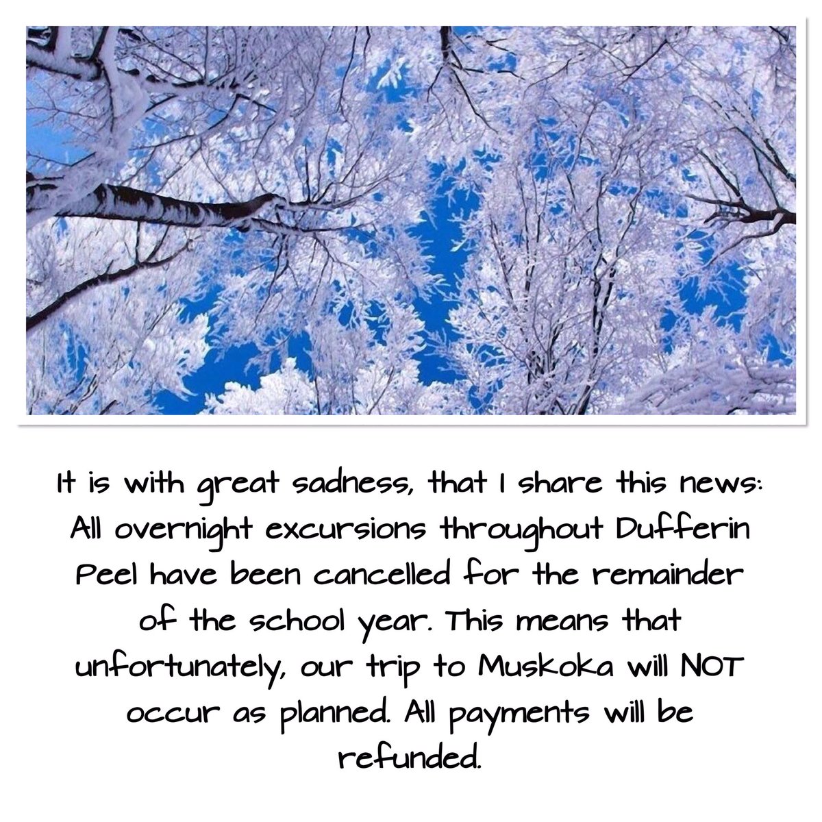 MsDJFlick's tweet photo. @StBernaDPCDSB @CoutoMr https://t.co/1VA8Ftx0hG