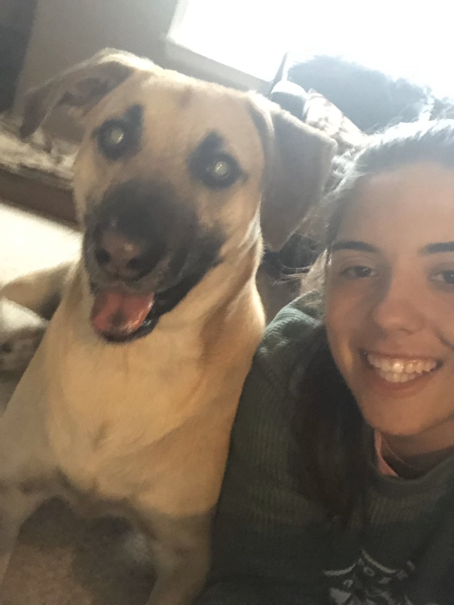 MonmouthWSOC's tweet photo. #NationalPuppyDay makes us smile 😊

Enjoy! https://t.co/mBqVDCy6dg