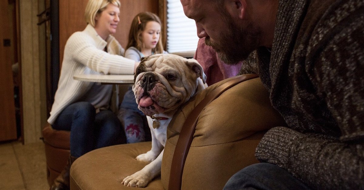 GoRVing's tweet image. To the furry ones always right there by your side. Happy #NationalPuppyDay! #GoRVing