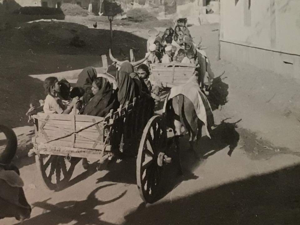 barbodhan's tweet photo. Photos
Mohammed Ali Atcha
1964
Mode of transport at the time.
#Barbodhan https://t.co/Qvy8d9qsJw