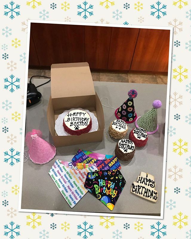 TDBALLIANCE's tweet photo. Does your dog have a birthday coming up? We have birthday cakes, pawty hats and dogdannas in stock for your dogs special day. Please call in your order at (817) 741-3364 and we will bring your items out curbside. Can’t wait to celebrate your dogs birthda… https://t.co/T9j1zLlYZC https://t.co/df8pRsT5Jl